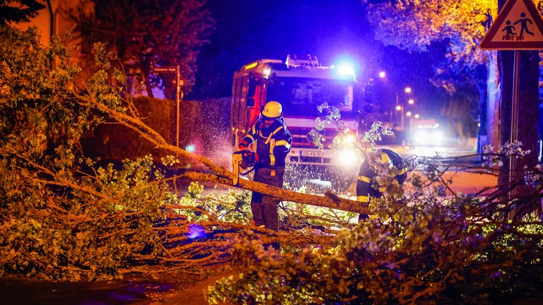 Einsatzkräfte der Feuerwehr zersägen mit einer Kettensäge einen umgestürzten Baum auf einer Straße
